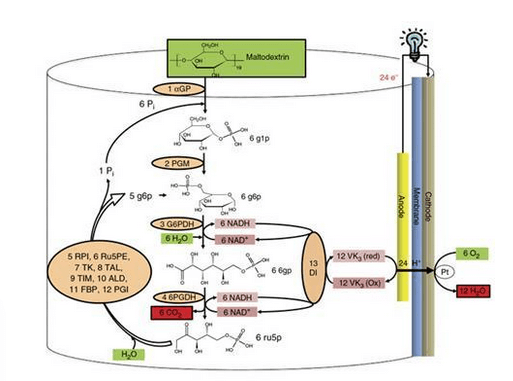 Bio Battery Seminar